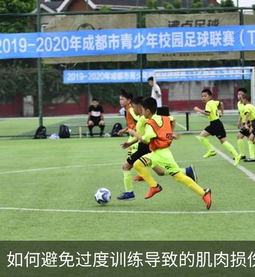 如何避免过度训练导致的肌肉损伤？介绍